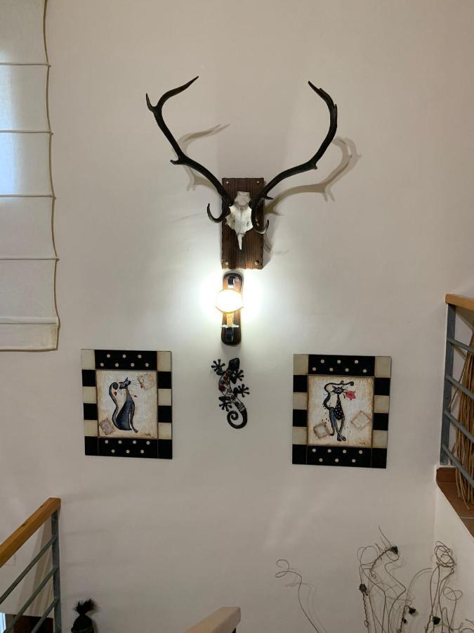 Apartamento Turistico El Esquilon Calzadilla Exterior foto